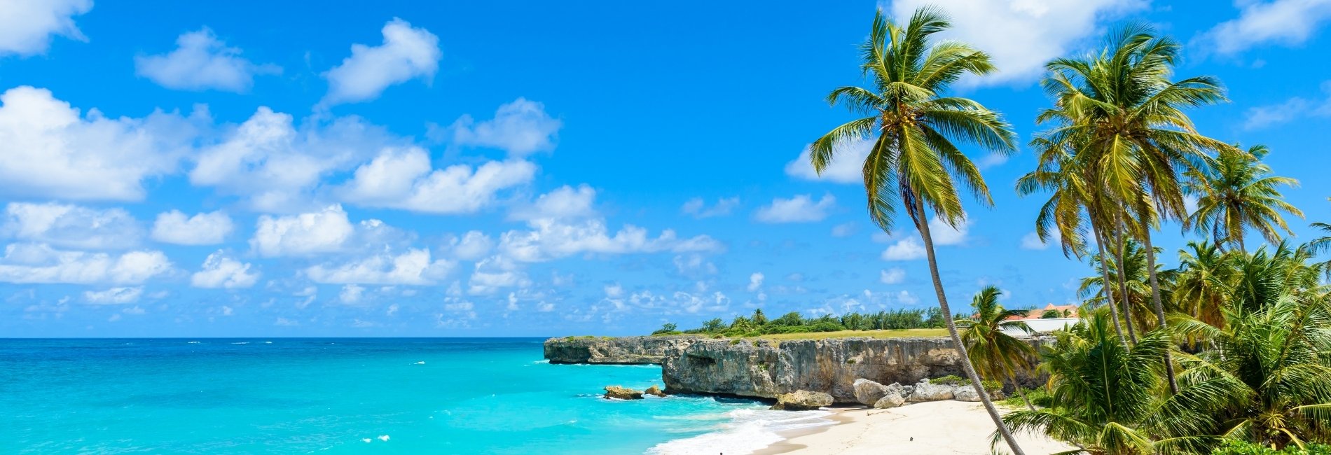 Island Life Caribbean (16)